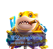 星空旅行行前云量与天气复核