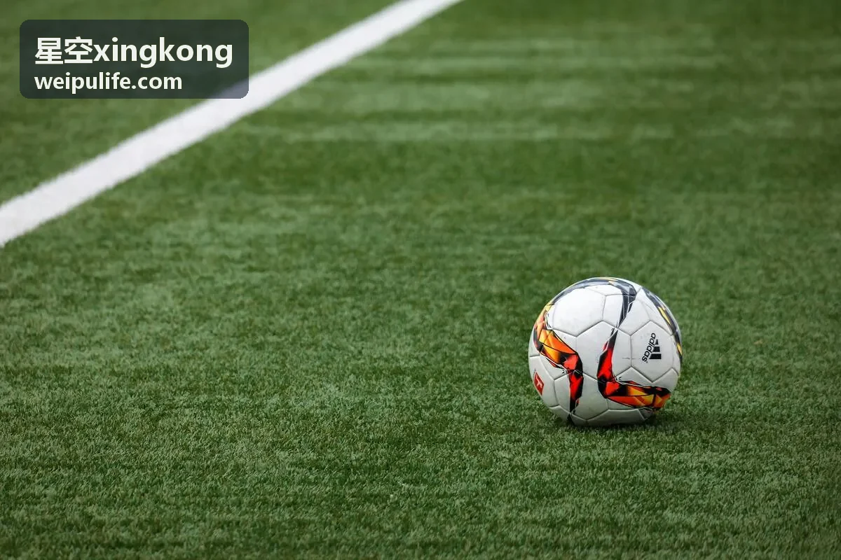 星空xingkong 用户头像