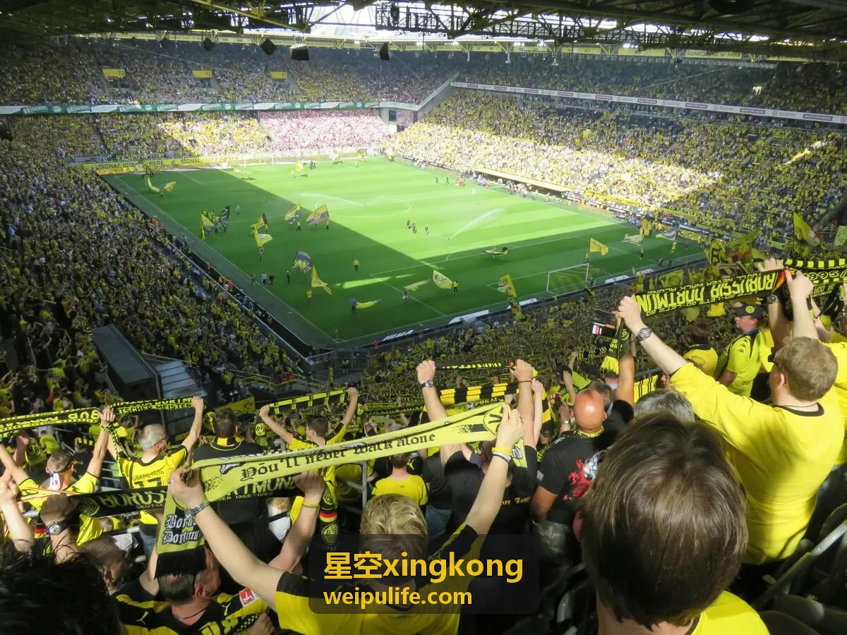星空xingkong 用户头像